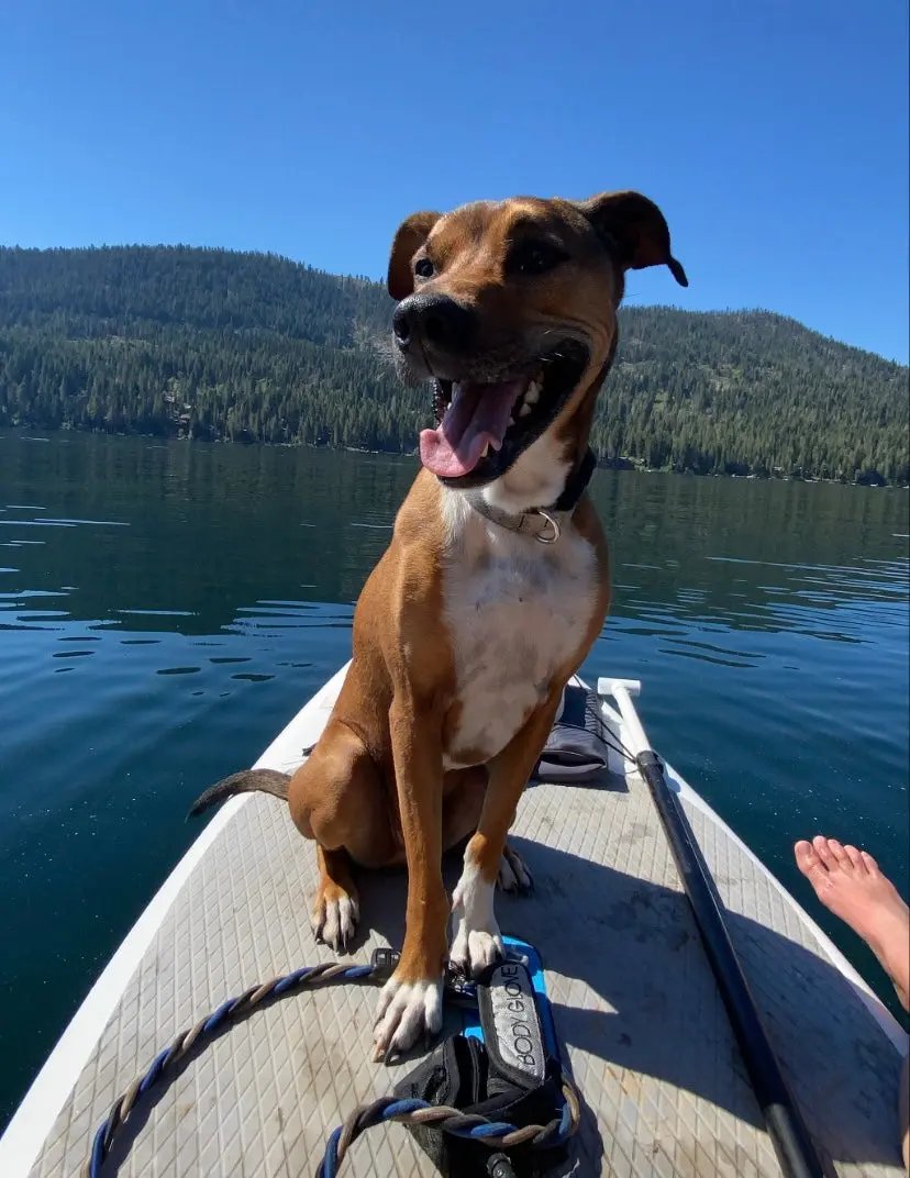 Busby 4 point hat Finski&Co