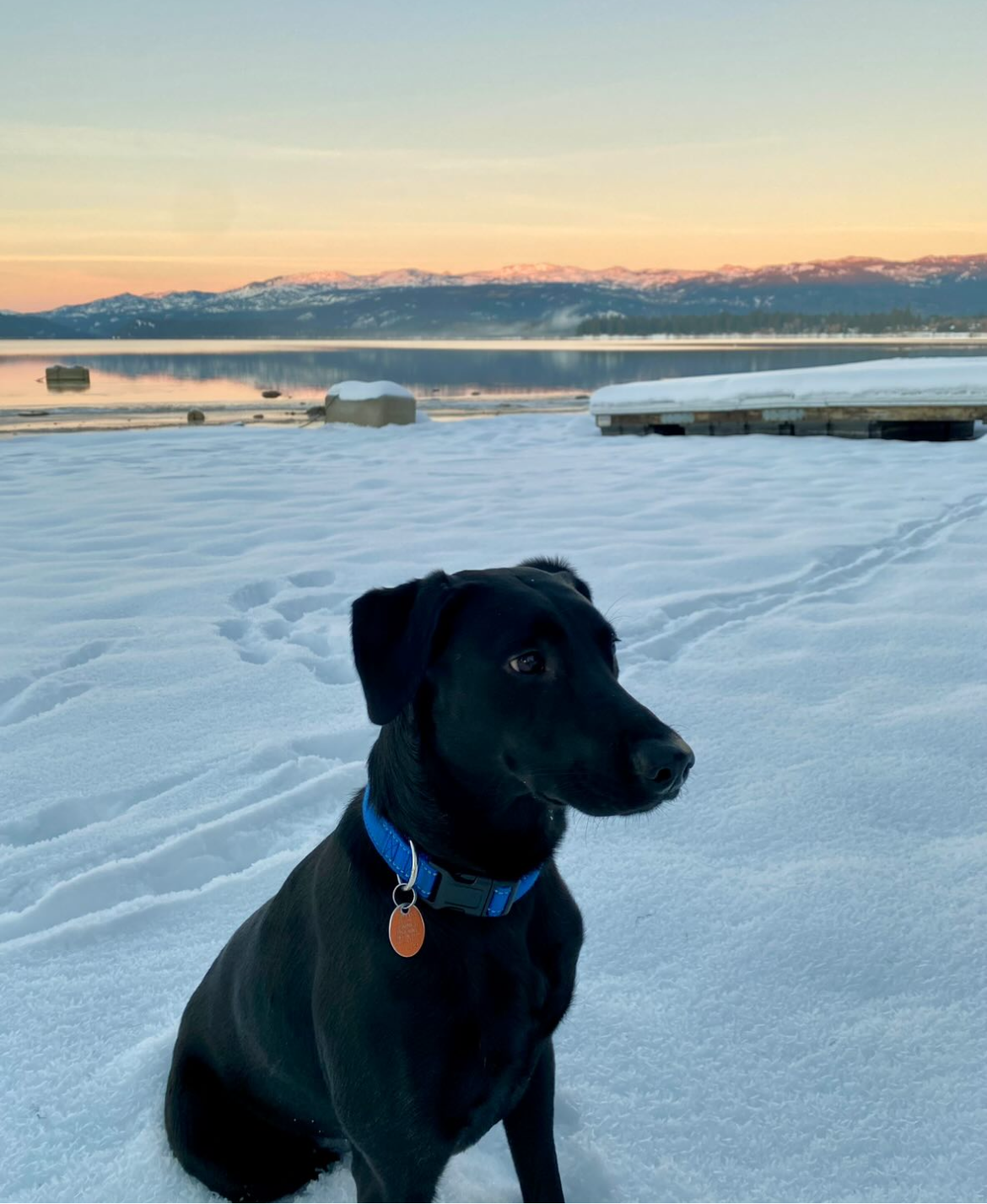 Bella spring hat Finski&Co