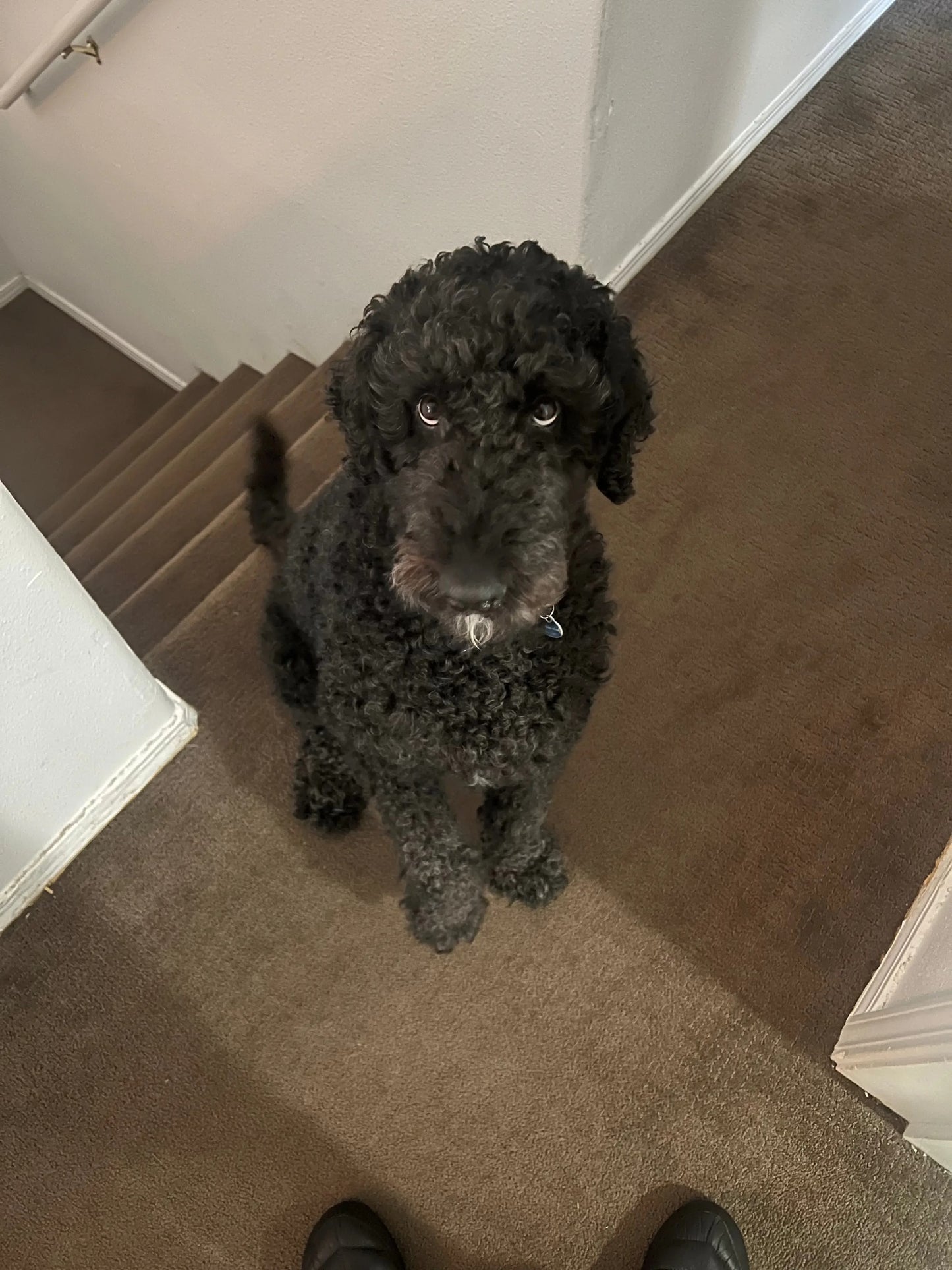 Arnold spring hat Finski&Co