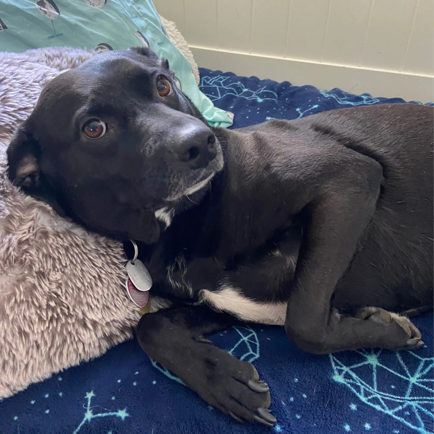 Thea 4 point hat Finski&Co