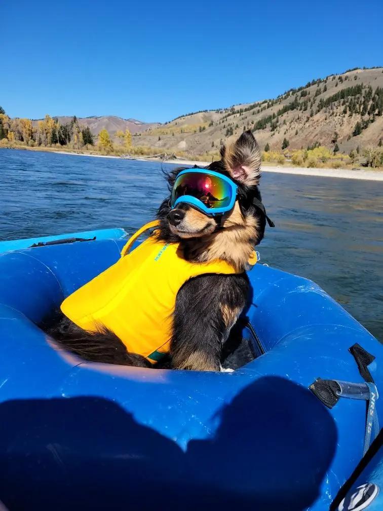 Beans BC hat Finski&Co