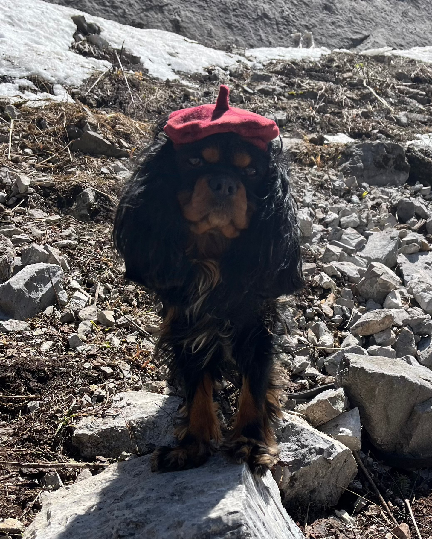 Pierre bc hat