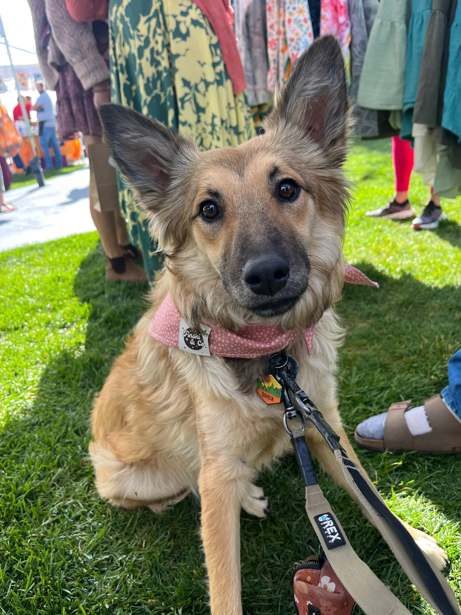Dog Bandana Finski&Co